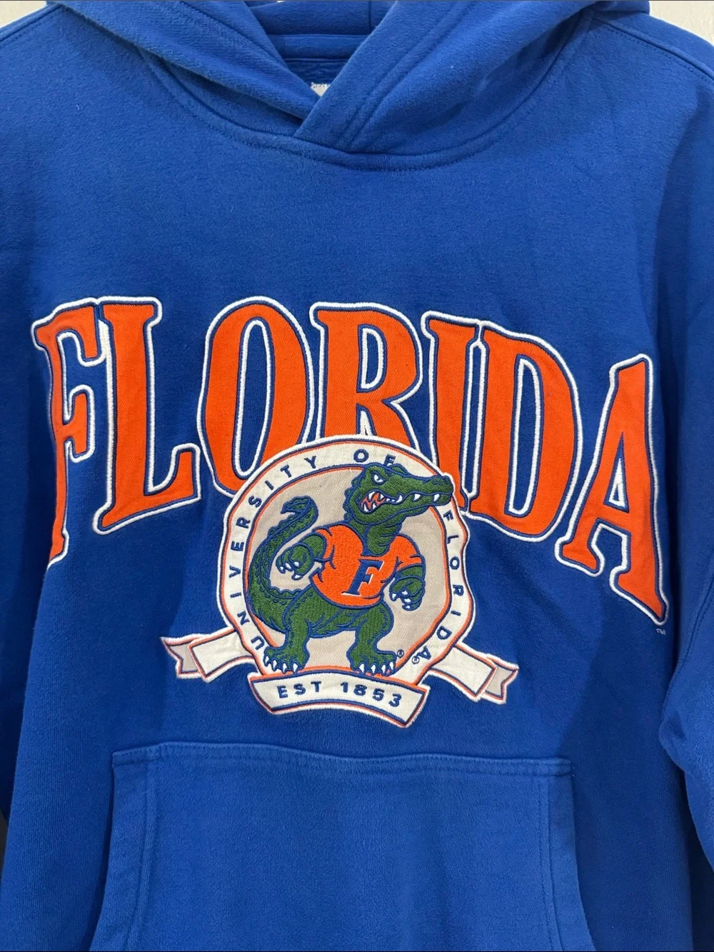 Hollister unisex Boxy University of Florida Gators graohic hoodie